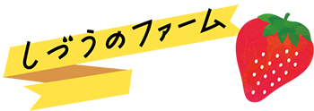 甘くておいしい大粒のいちごを自販機にて直売している草津市の「しづうのファーム」へぜひお越しください。